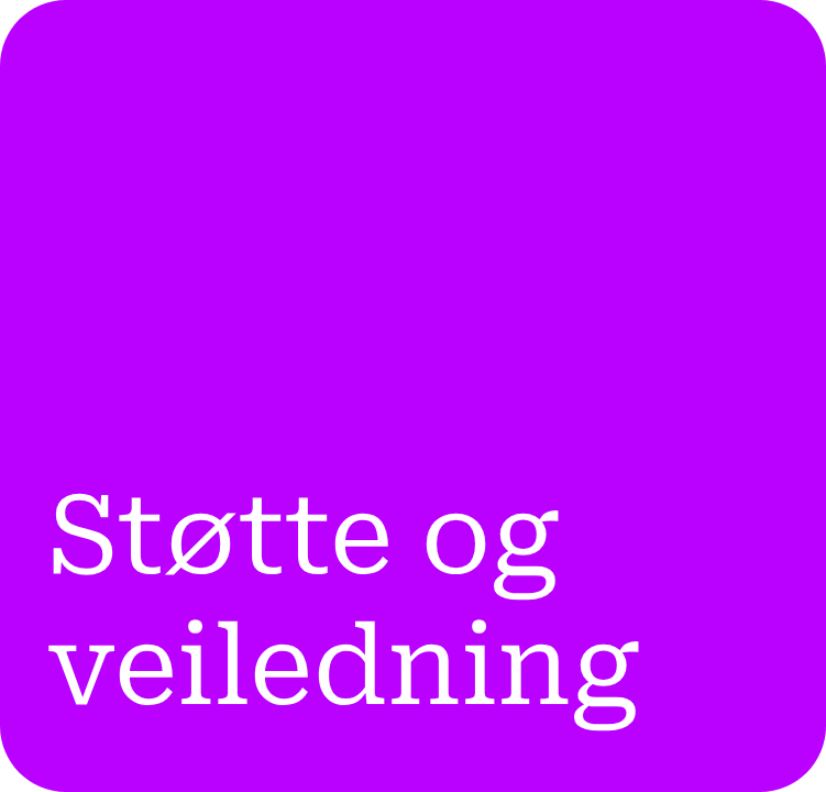 Støtte og veiledning