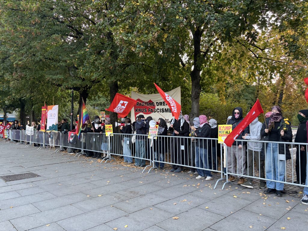 Demonstranter mot facsisme